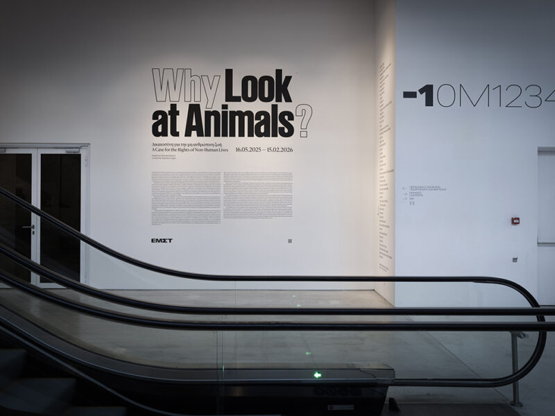 Why Look at Animals?