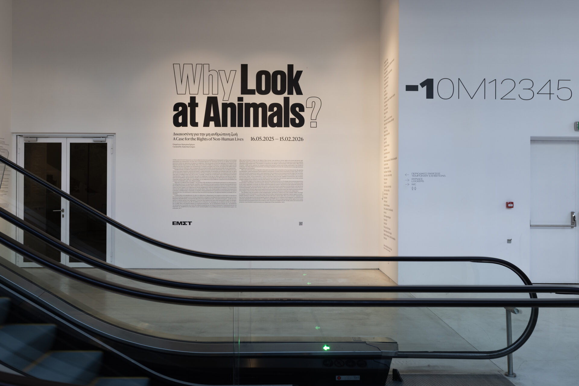 Why Look at Animals?