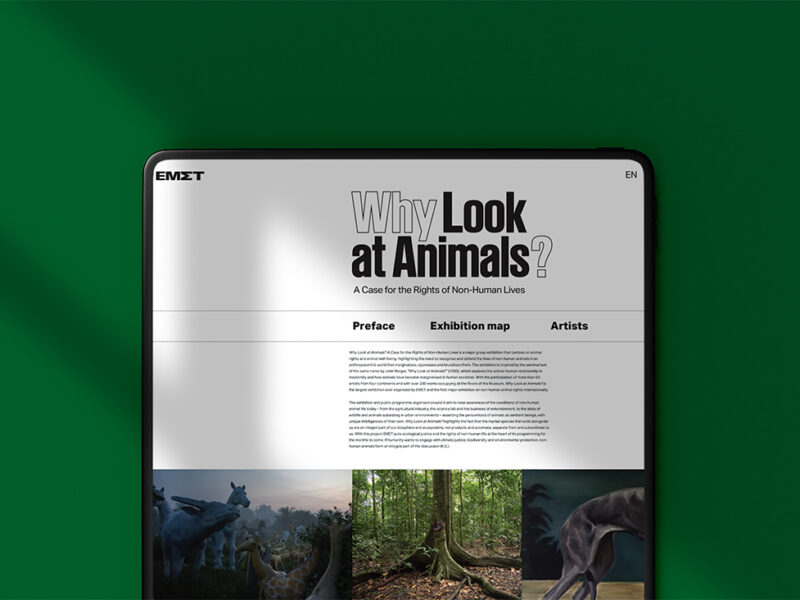 Why Look at Animals?