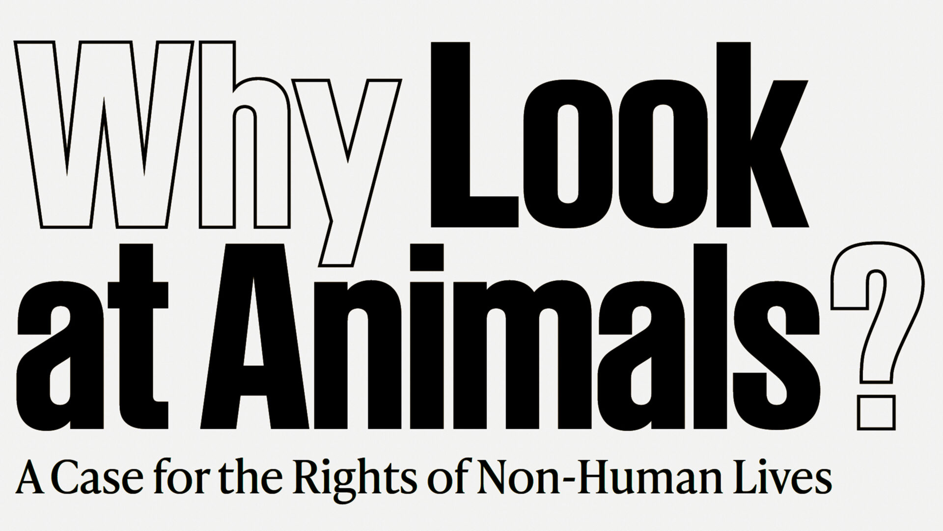 Why Look at Animals?