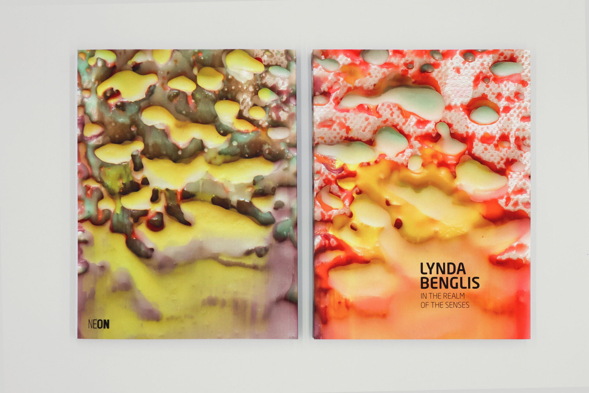 LYNDA BENGLIS In the Realm of the Senses
