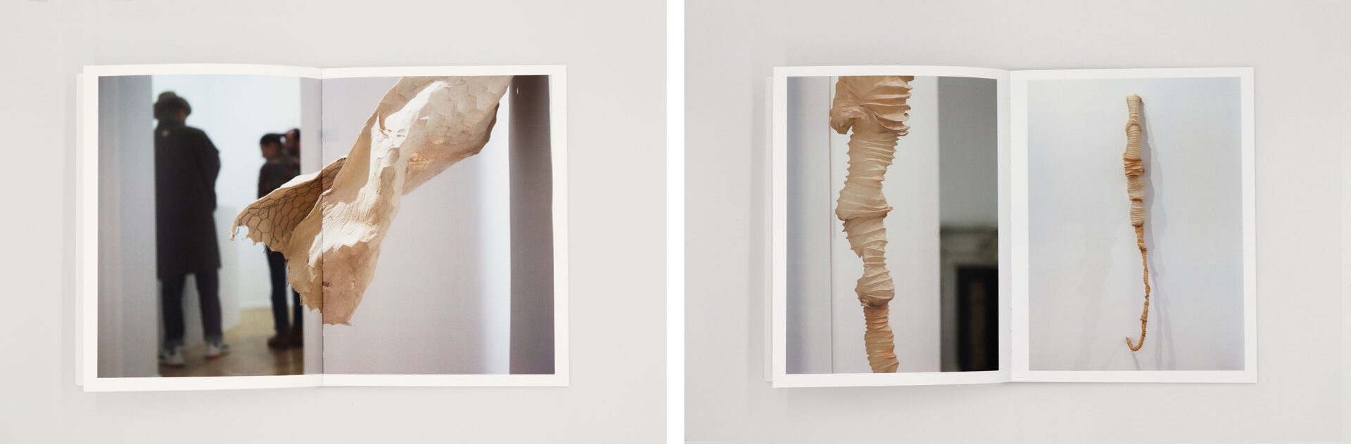 LYNDA BENGLIS In the Realm of the Senses