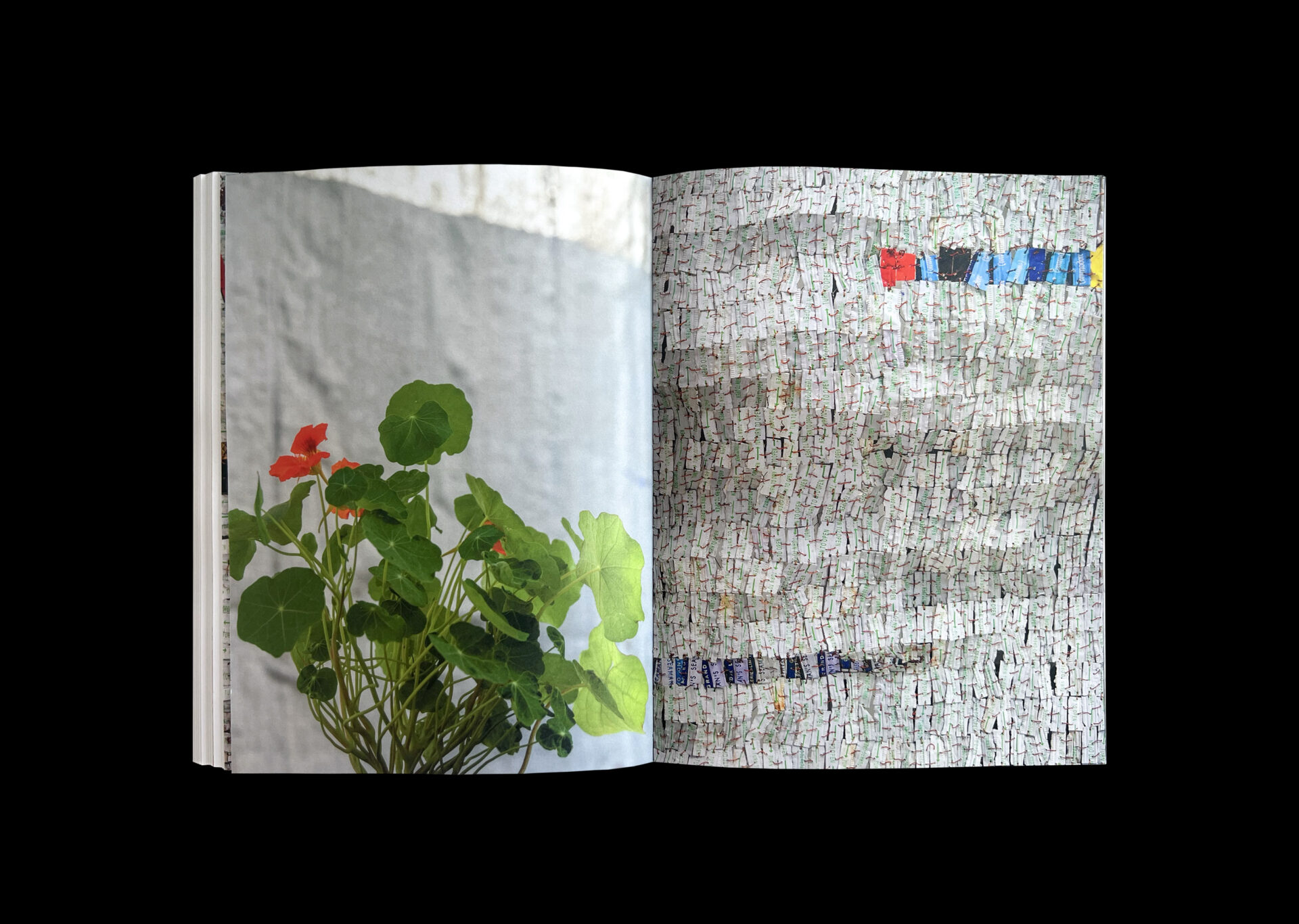 Portals catalogue