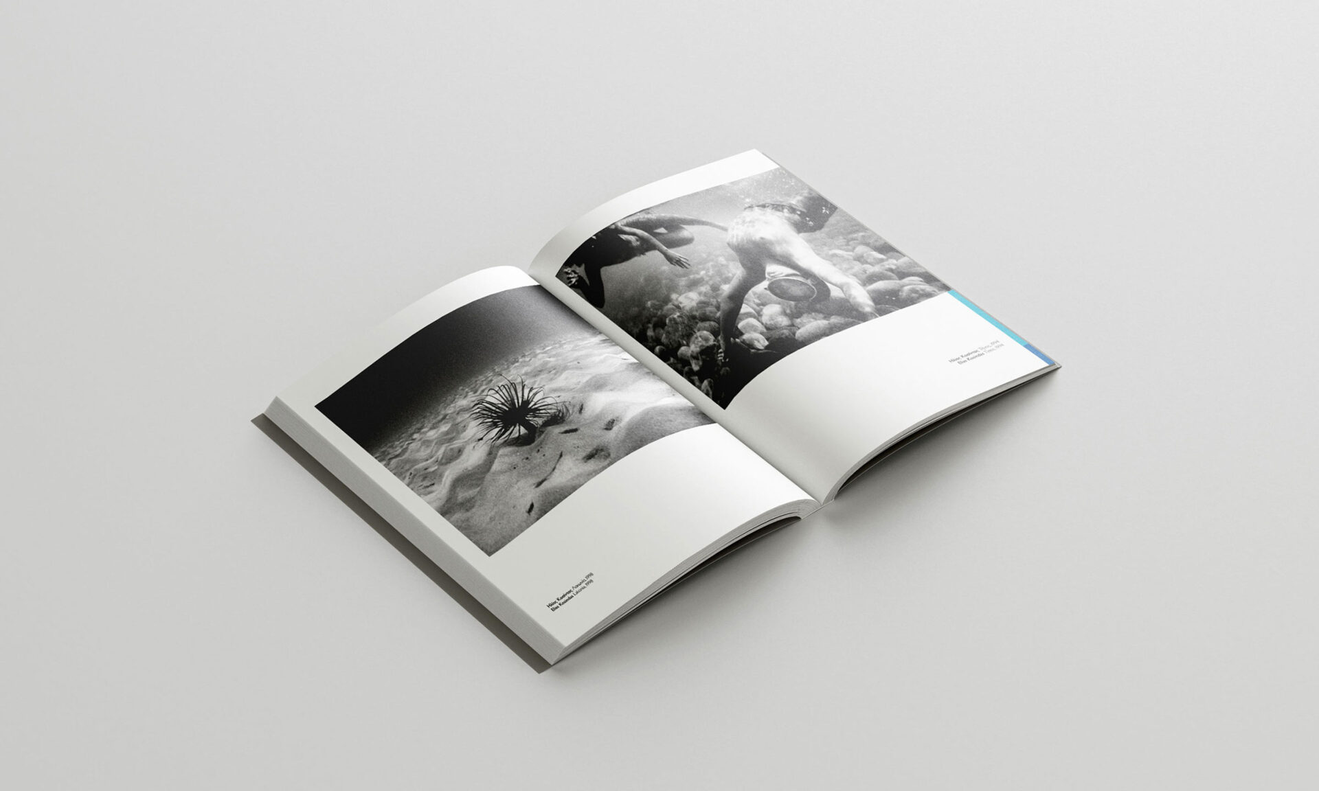 31 Photographers Publication