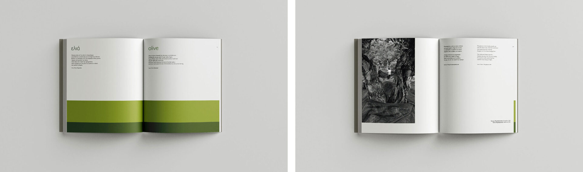 31 Photographers Publication