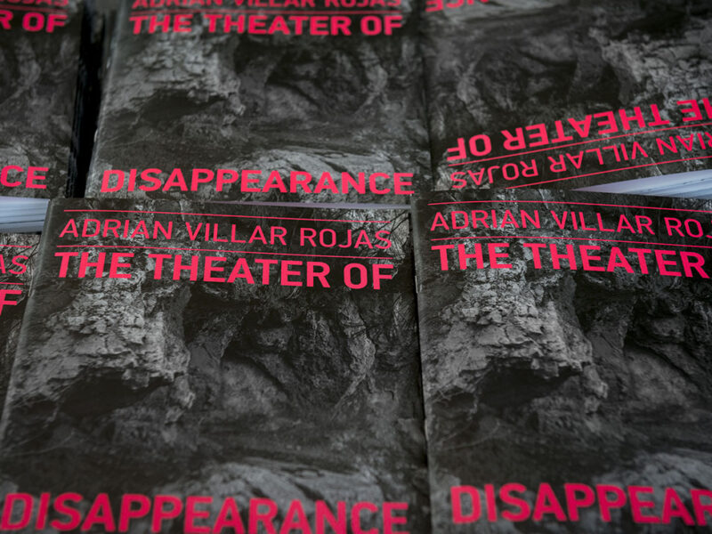 ADRIAN VILLAR ROJAS The Theater of Disappearance