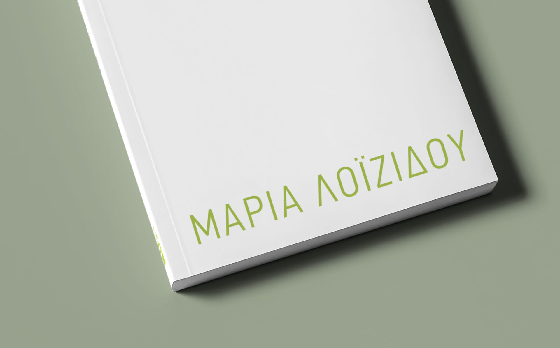MARIA LOIZIDOU City Project