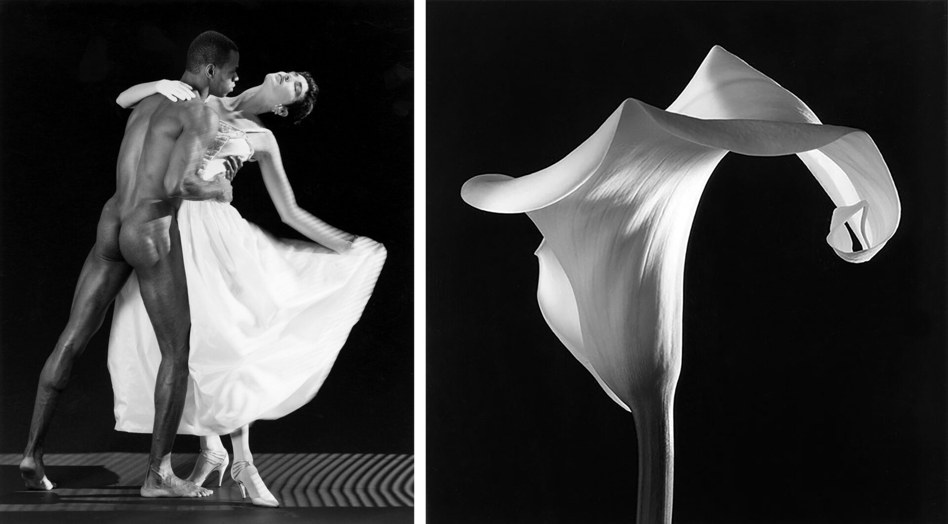 Robert Mapplethorpe