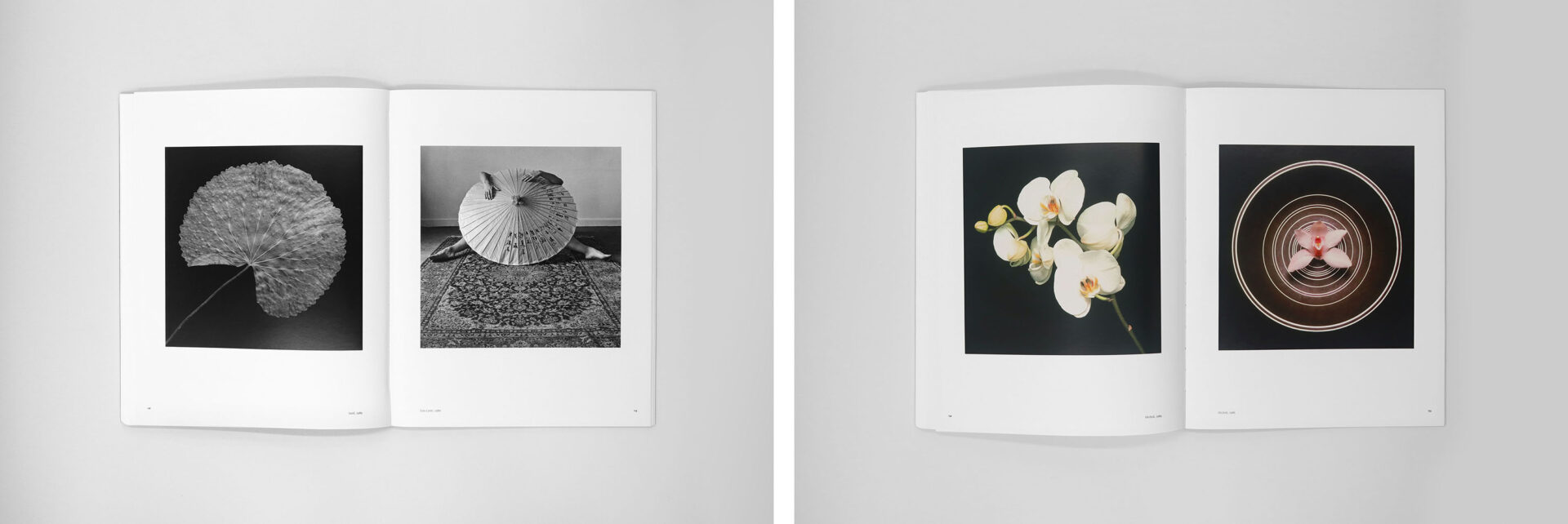 Robert Mapplethorpe Exhibition Catalogue