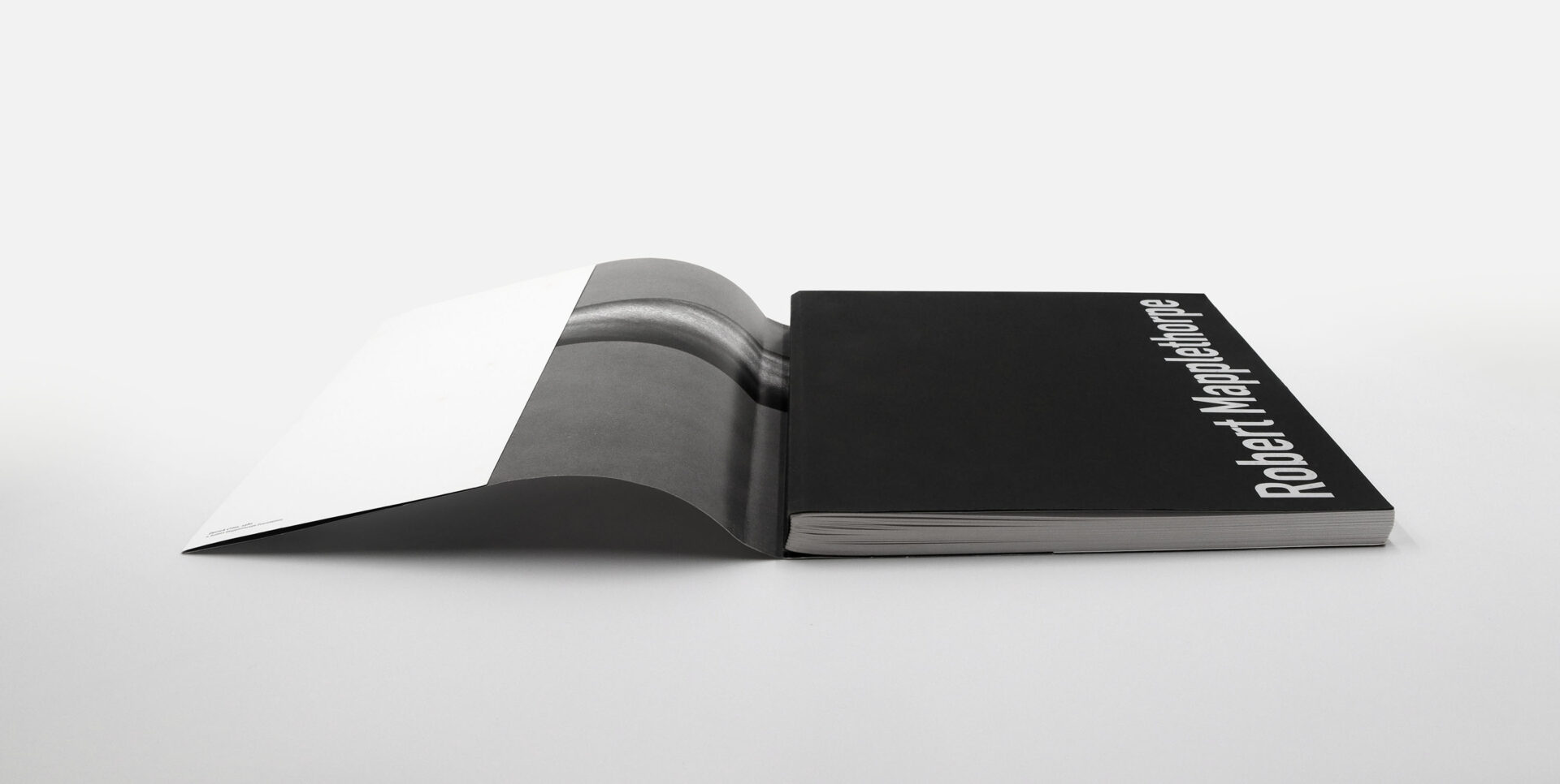 Robert Mapplethorpe Exhibition Catalogue