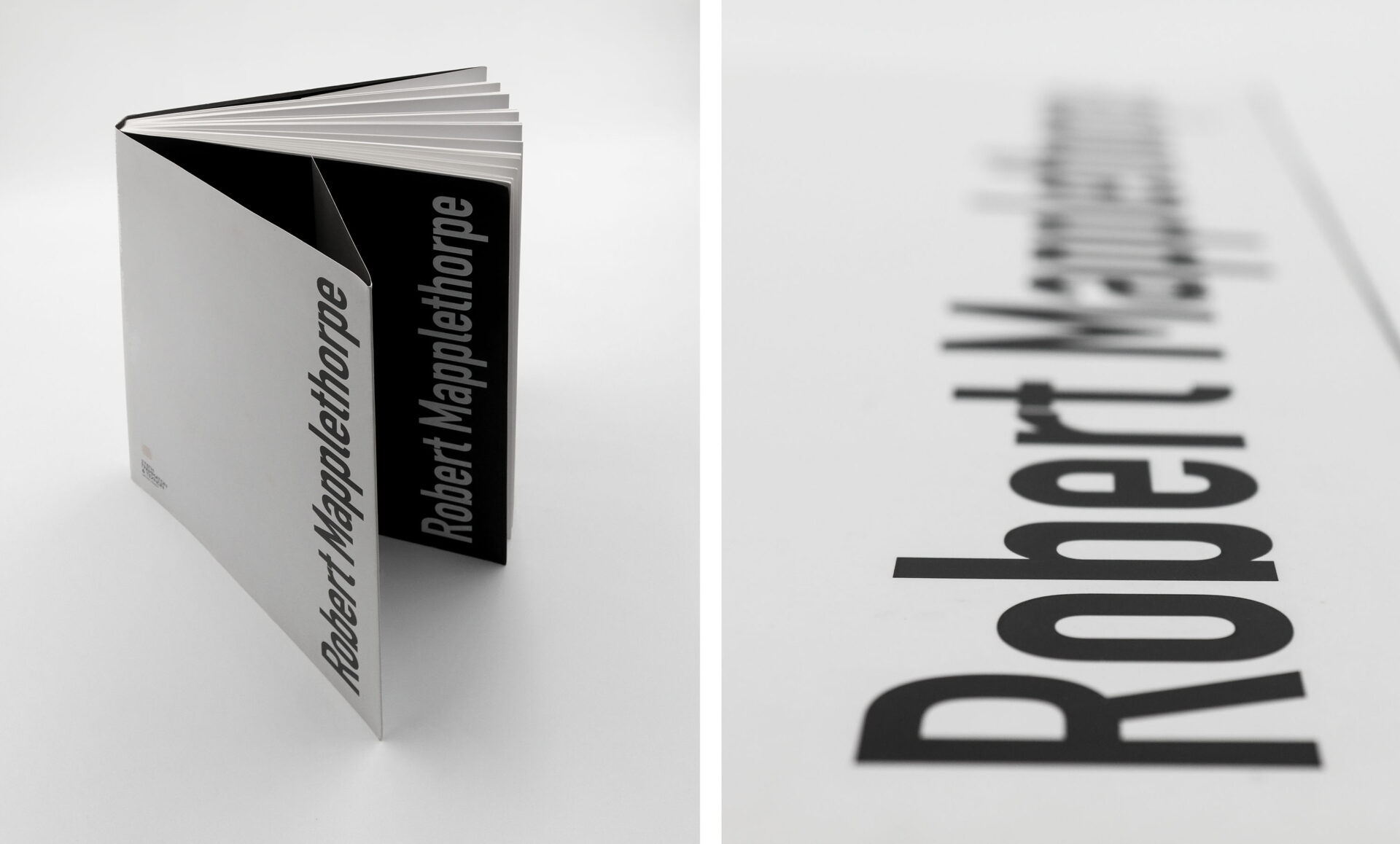 Robert Mapplethorpe Exhibition Catalogue