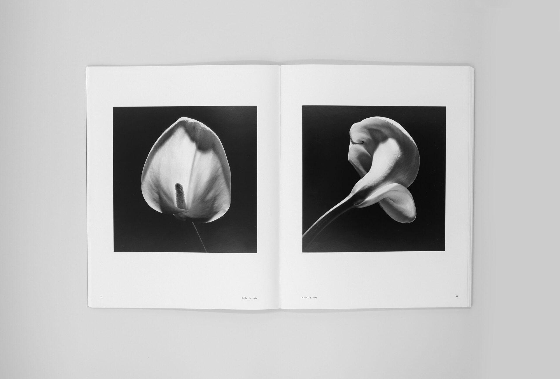 Robert Mapplethorpe Exhibition Catalogue