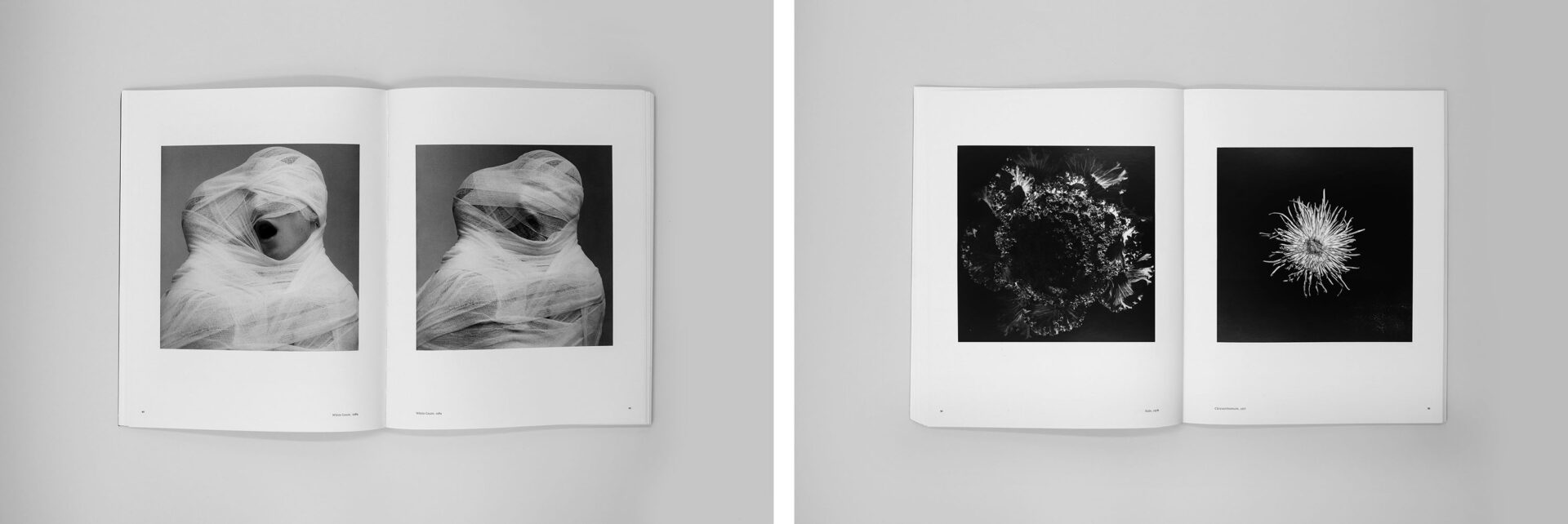 Robert Mapplethorpe Exhibition Catalogue