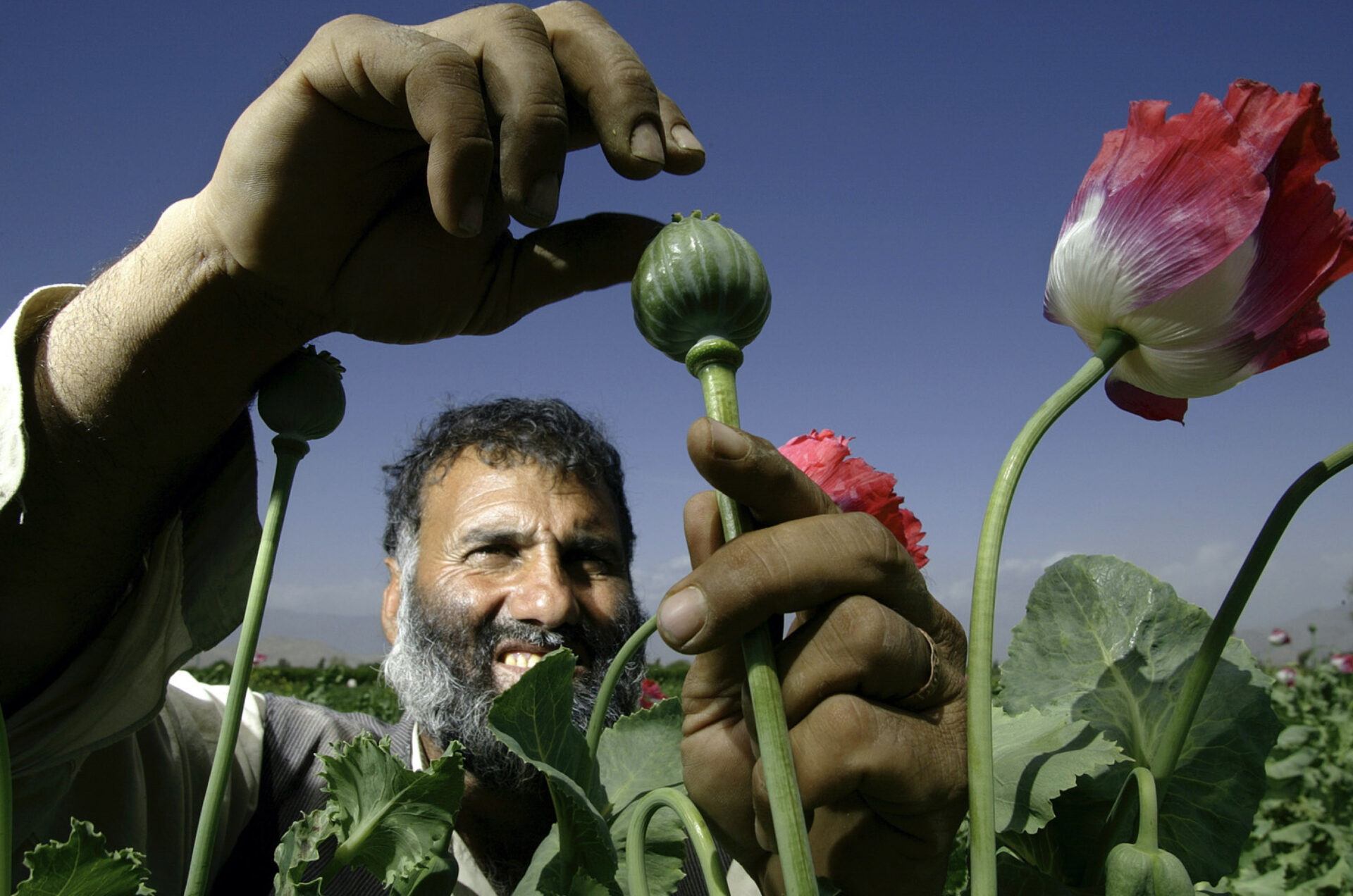 Yannis Kontos Photojournalist